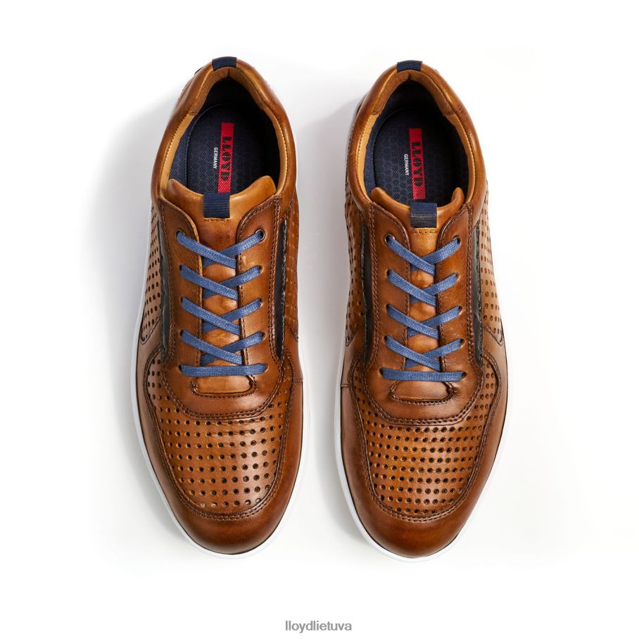 LLOYD abott vyrų avalynė rudas VF40PZ415