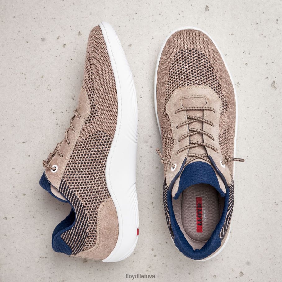 LLOYD adamsonas vyrų avalynė smėlio spalvos VF40PZ388