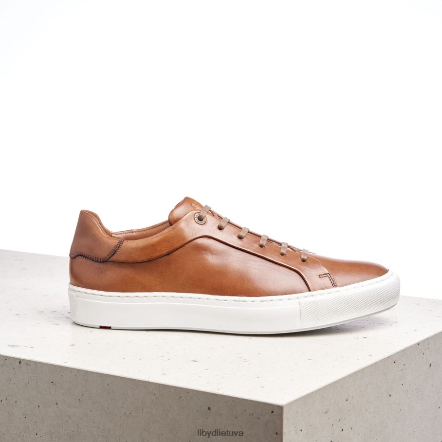 LLOYD ajan vyrų avalynė rudas VF40PZ391