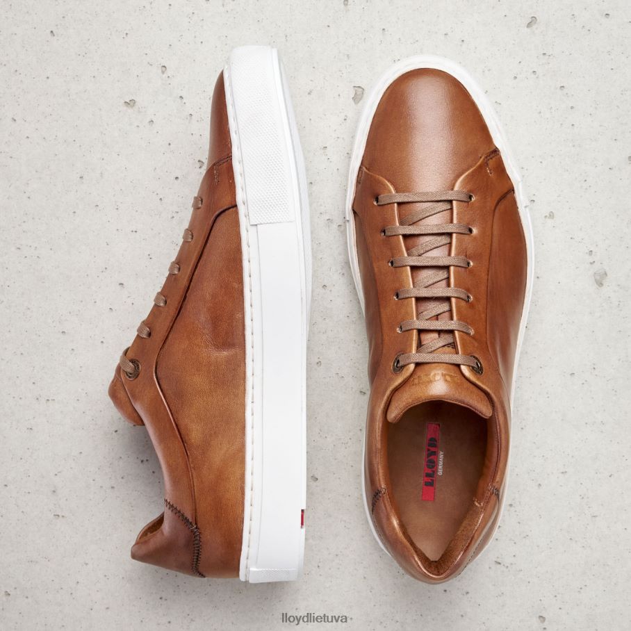 LLOYD ajan vyrų avalynė rudas VF40PZ391