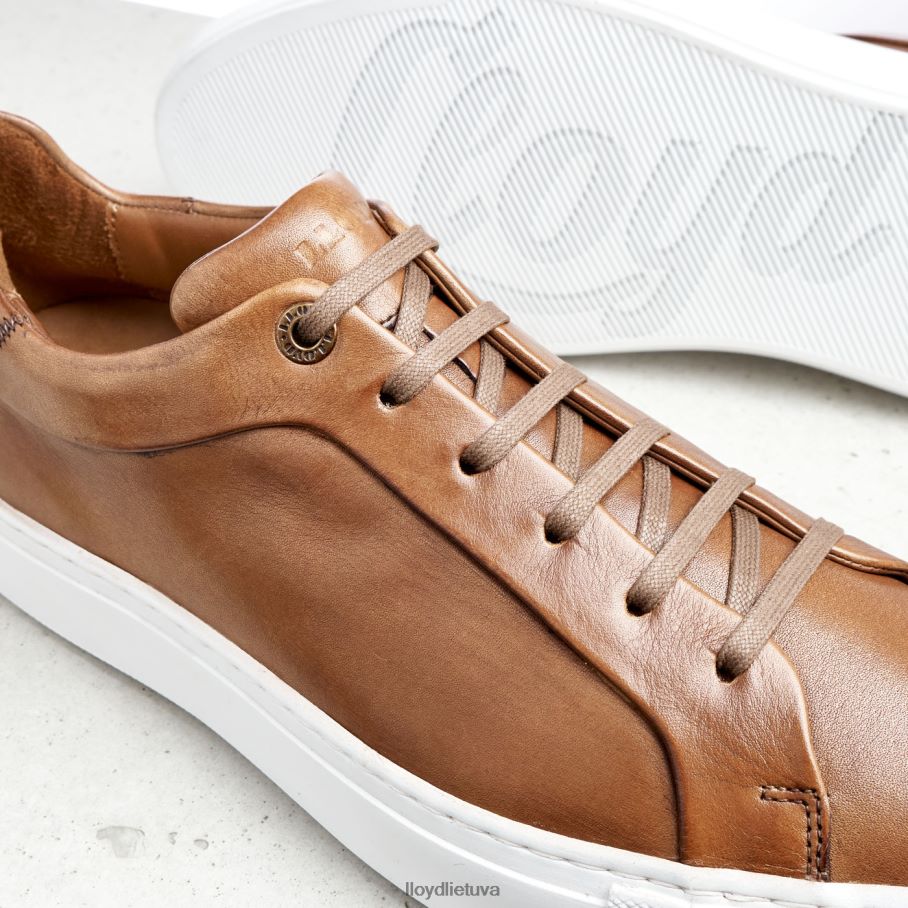 LLOYD ajan vyrų avalynė rudas VF40PZ391