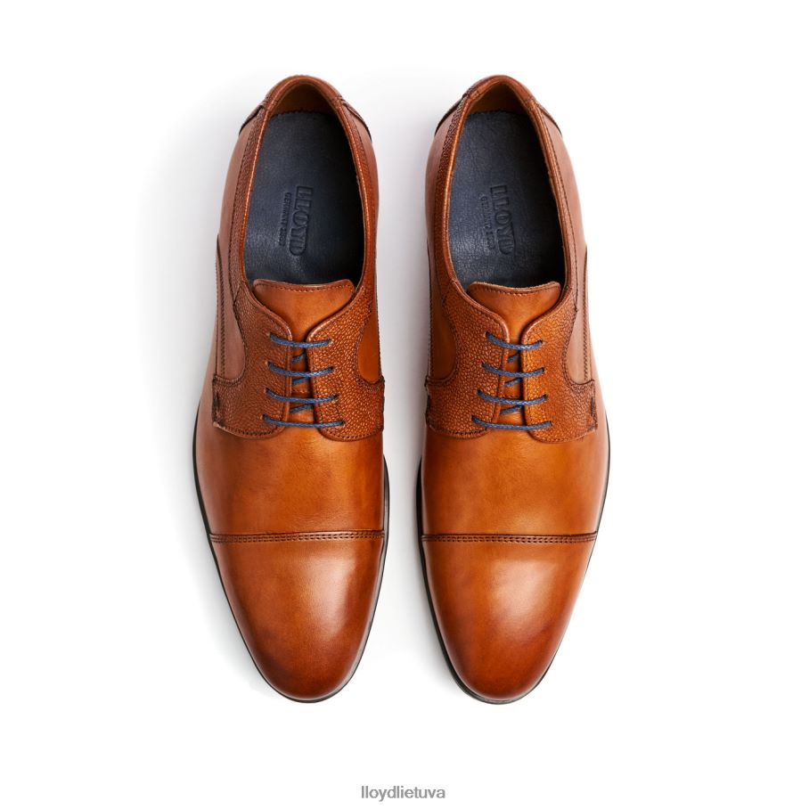 LLOYD arba laimėk vyrų avalynė rudas VF40PZ95