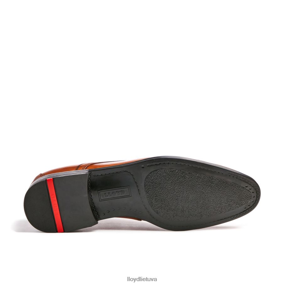 LLOYD arba laimėk vyrų avalynė rudas VF40PZ95