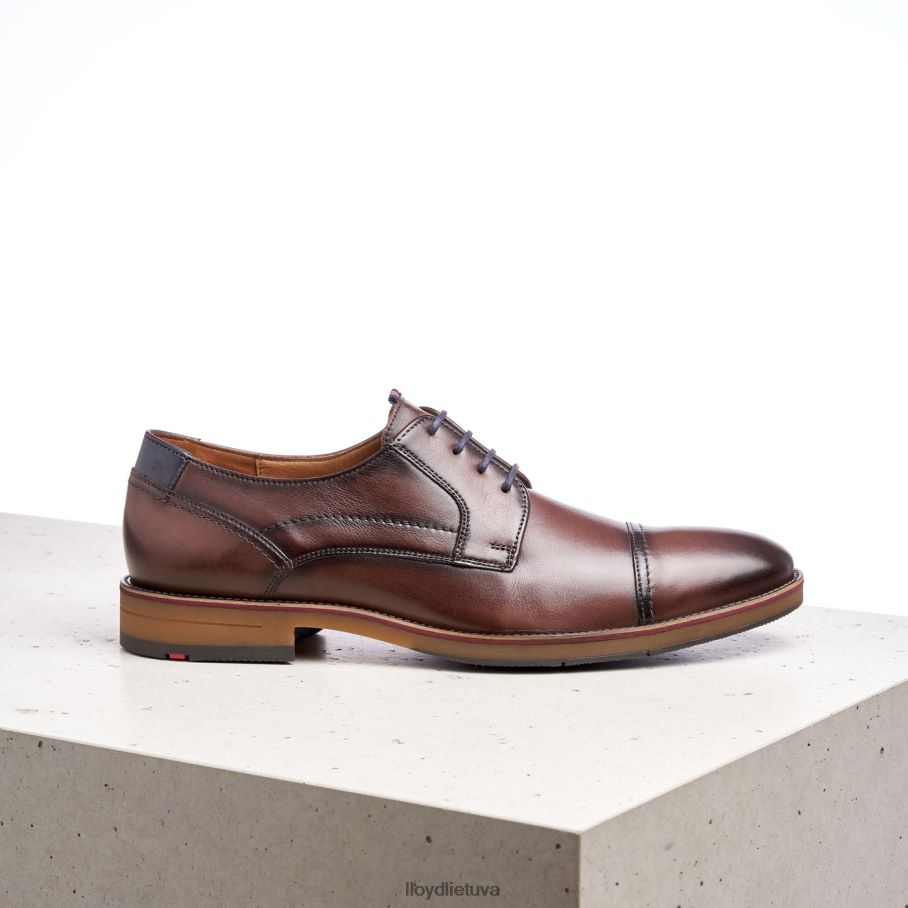 LLOYD arperis vyrų avalynė rudas VF40PZ176