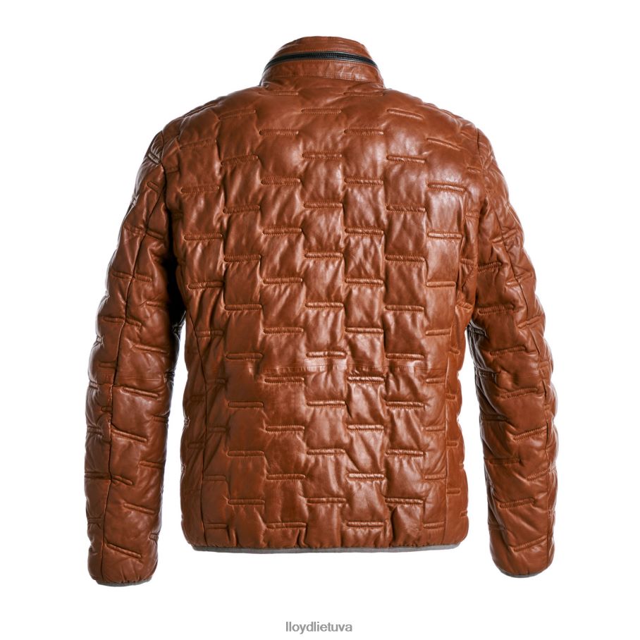 LLOYD avery vyrų apranga rudas VF40PZ647