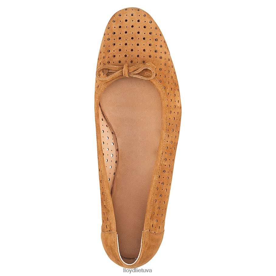 LLOYD balerina moterys avalynė rudas VF40PZ1144