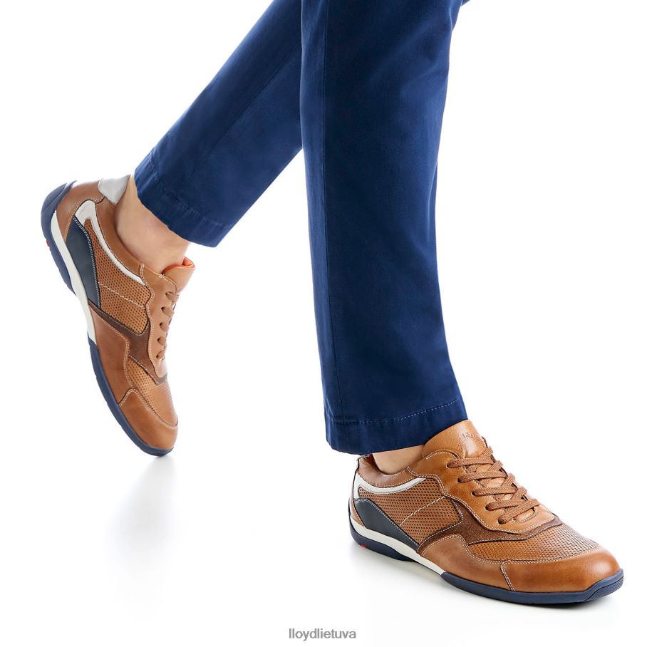 LLOYD baltimore vyrų avalynė rudas VF40PZ287