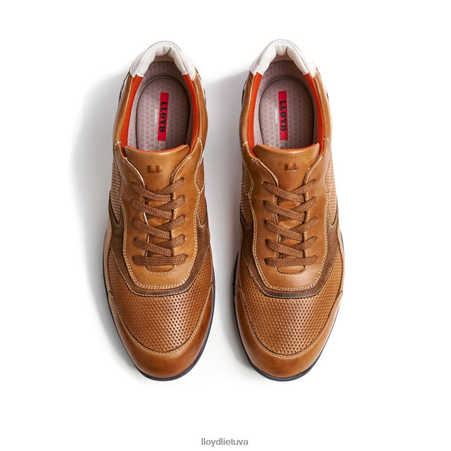 LLOYD baltimore vyrų avalynė rudas VF40PZ287