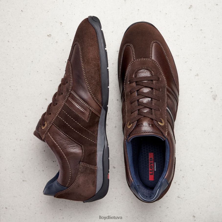 LLOYD barbadosas vyrų avalynė rudas VF40PZ1339