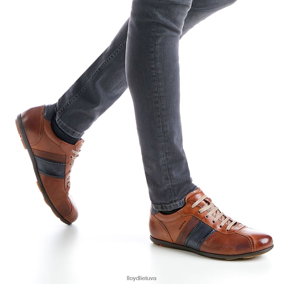 LLOYD baretas vyrų avalynė rudas VF40PZ354