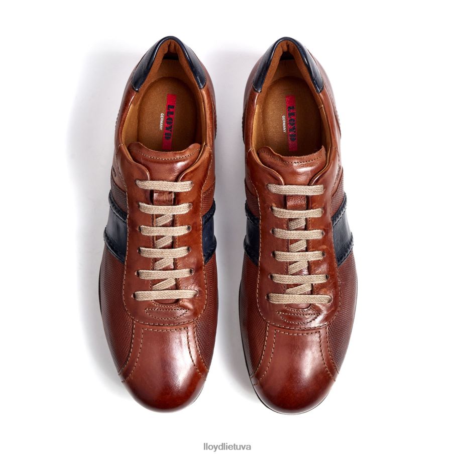 LLOYD baretas vyrų avalynė rudas VF40PZ354