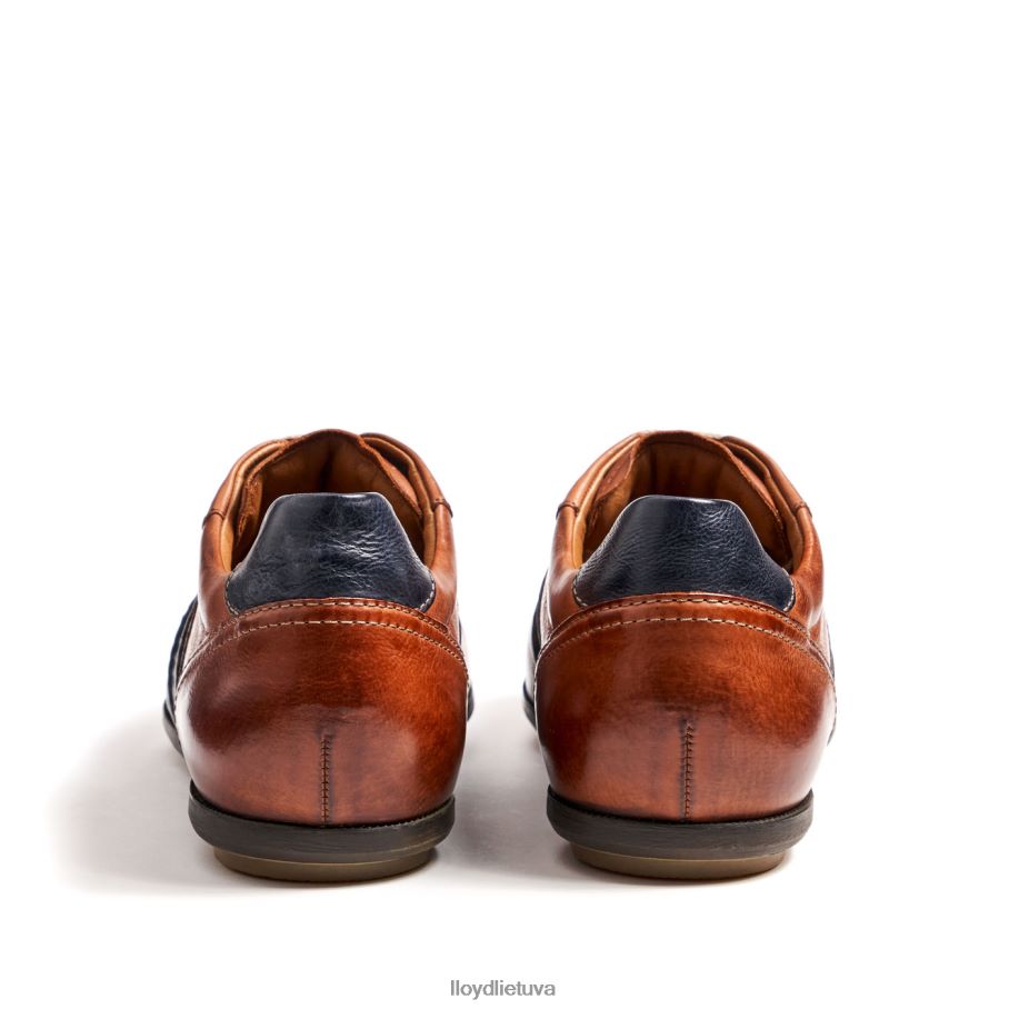 LLOYD baretas vyrų avalynė rudas VF40PZ354