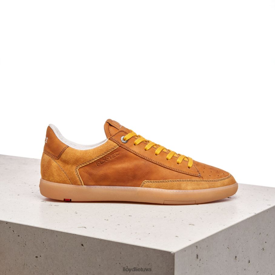 LLOYD baronas vyrų avalynė rudas VF40PZ427