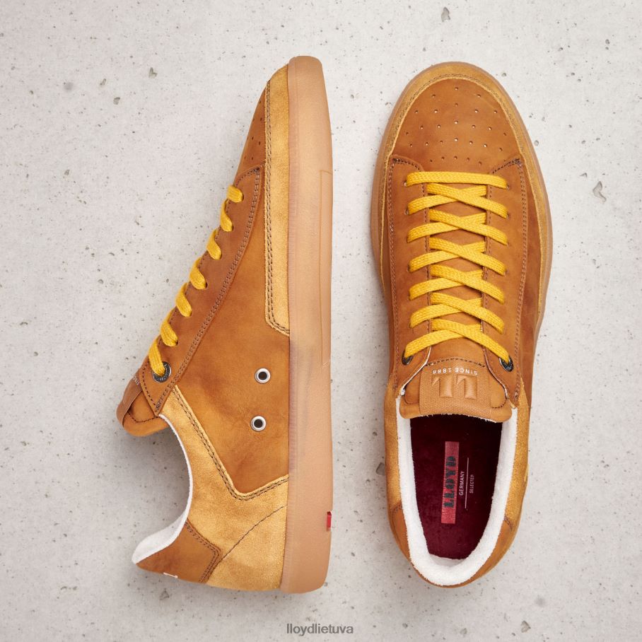 LLOYD baronas vyrų avalynė rudas VF40PZ427