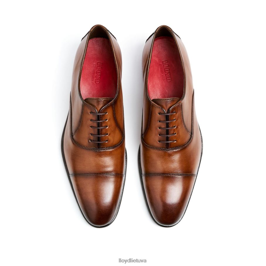 LLOYD baseinas vyrų avalynė rudas VF40PZ1