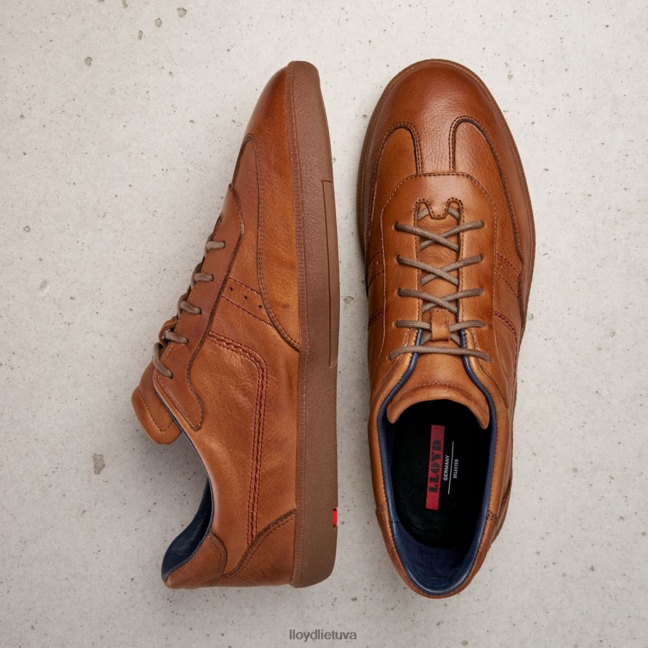 LLOYD bastianas vyrų avalynė rudas VF40PZ423