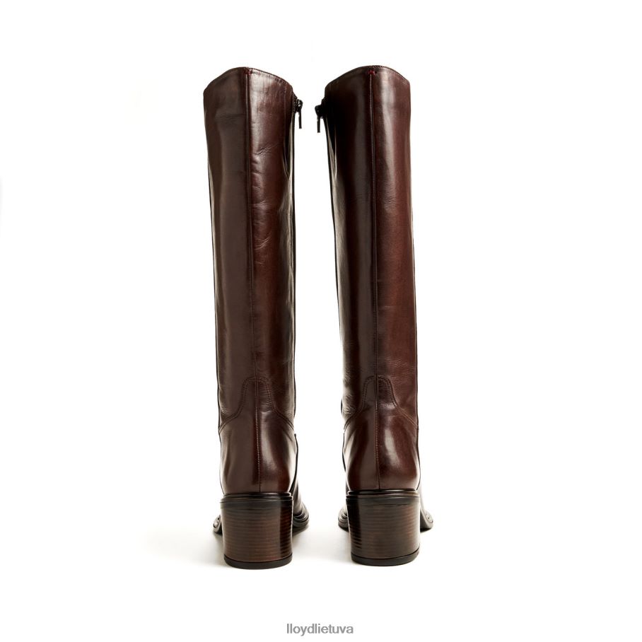 LLOYD batas moterys avalynė rudas VF40PZ1191