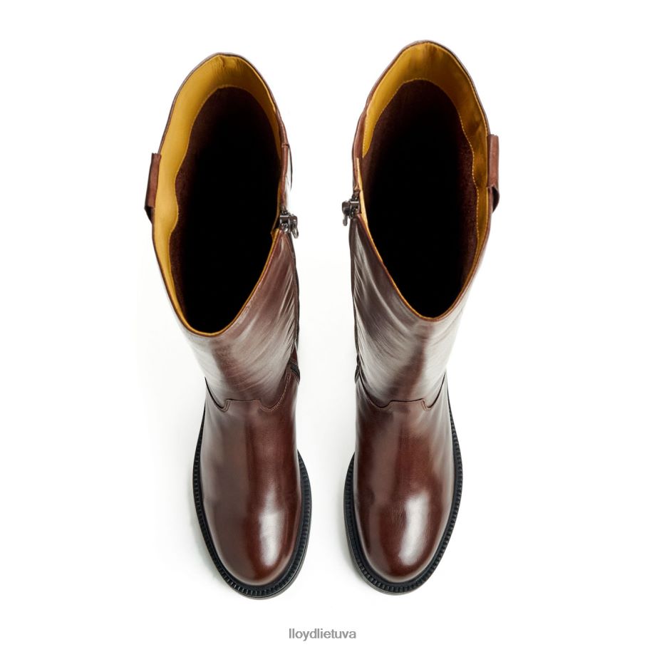 LLOYD batas moterys avalynė rudas VF40PZ1193