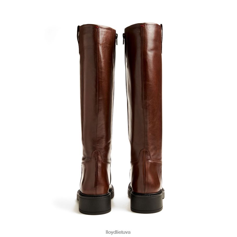 LLOYD batas moterys avalynė rudas VF40PZ1193