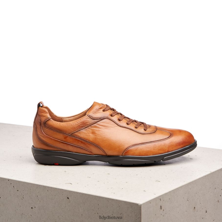 LLOYD bernas vyrų avalynė rudas VF40PZ436