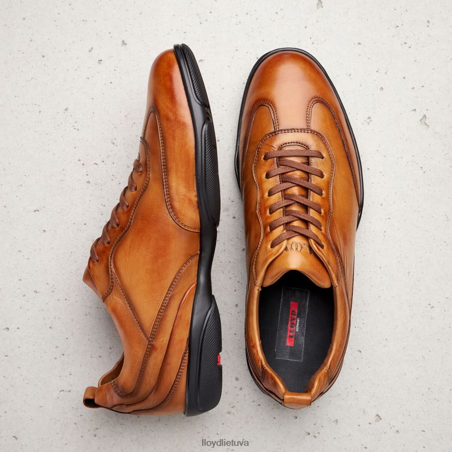 LLOYD bernas vyrų avalynė rudas VF40PZ436