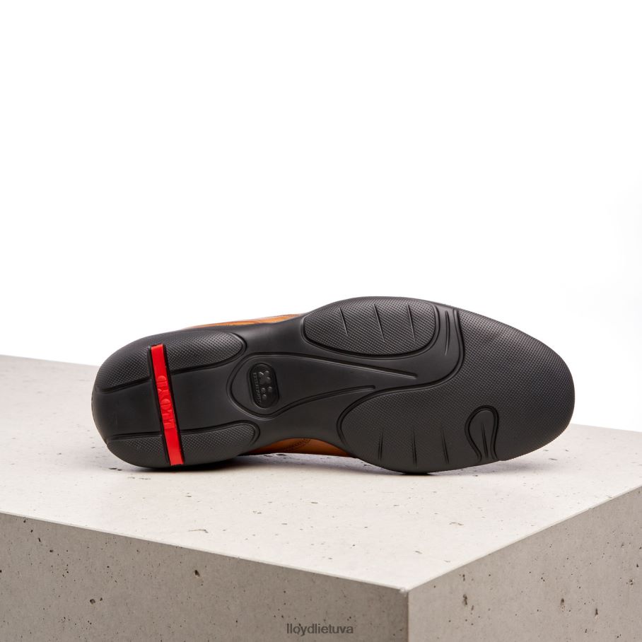 LLOYD bernas vyrų avalynė rudas VF40PZ436