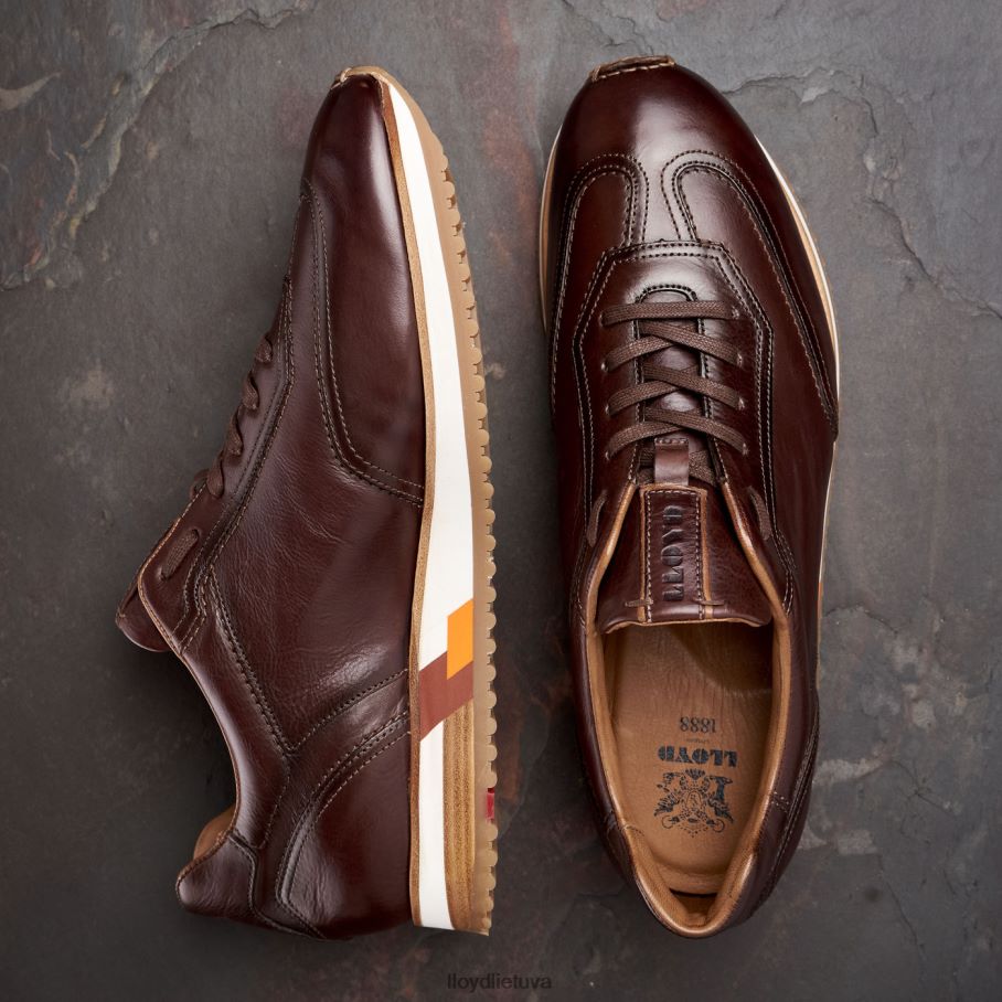 LLOYD blake vyrų avalynė rudas VF40PZ325