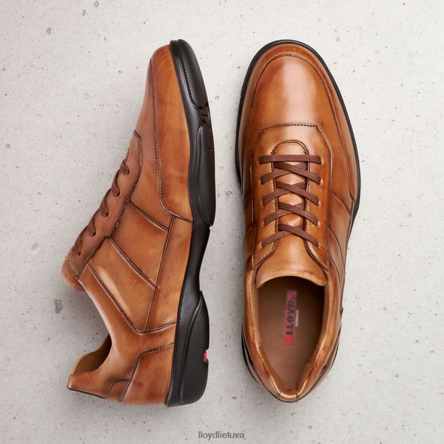 LLOYD bloy vyrų avalynė rudas VF40PZ375