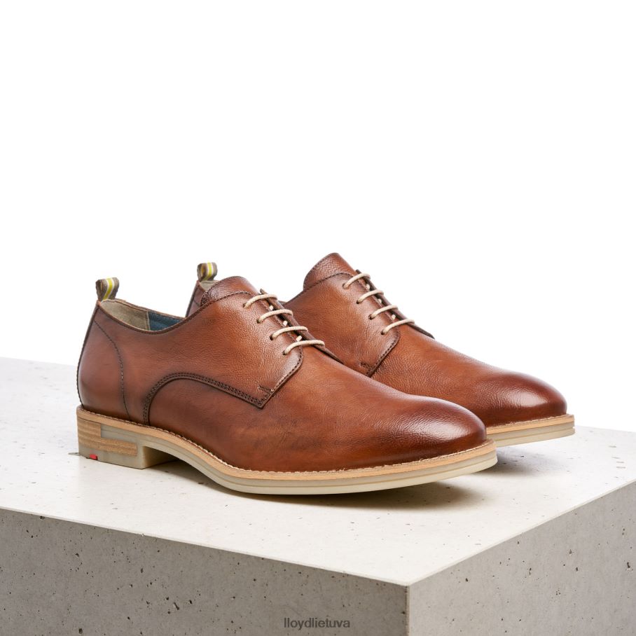 LLOYD dakota vyrų avalynė rudas VF40PZ608