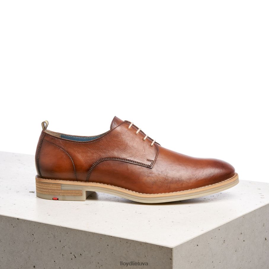 LLOYD dakota vyrų avalynė rudas VF40PZ608