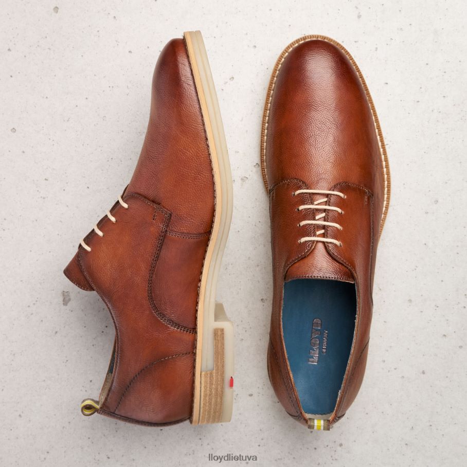 LLOYD dakota vyrų avalynė rudas VF40PZ608