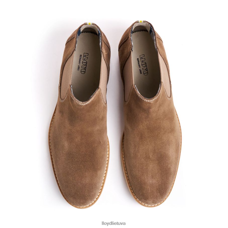 LLOYD dalby vyrų avalynė rudas VF40PZ456