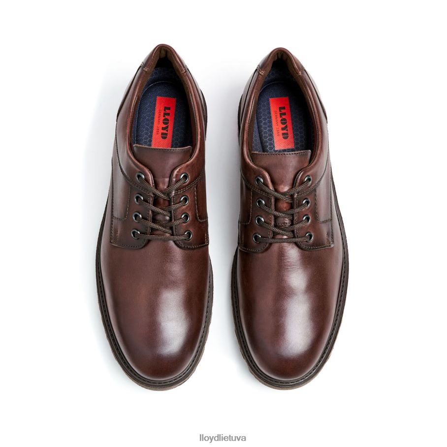 LLOYD daltonas vyrų avalynė rudas VF40PZ39