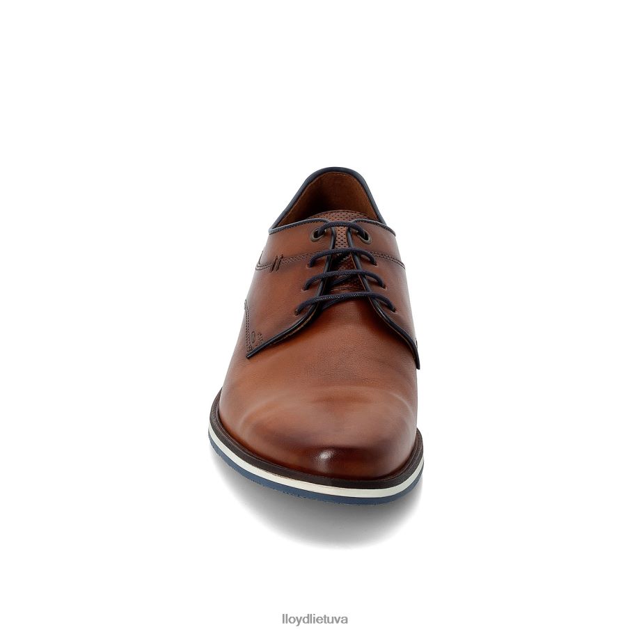 LLOYD danjaan vyrų avalynė rudas VF40PZ609