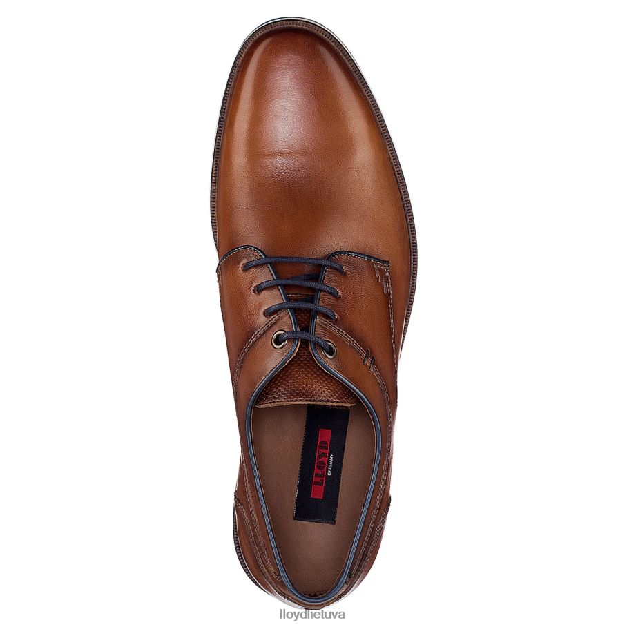 LLOYD danjaan vyrų avalynė rudas VF40PZ609