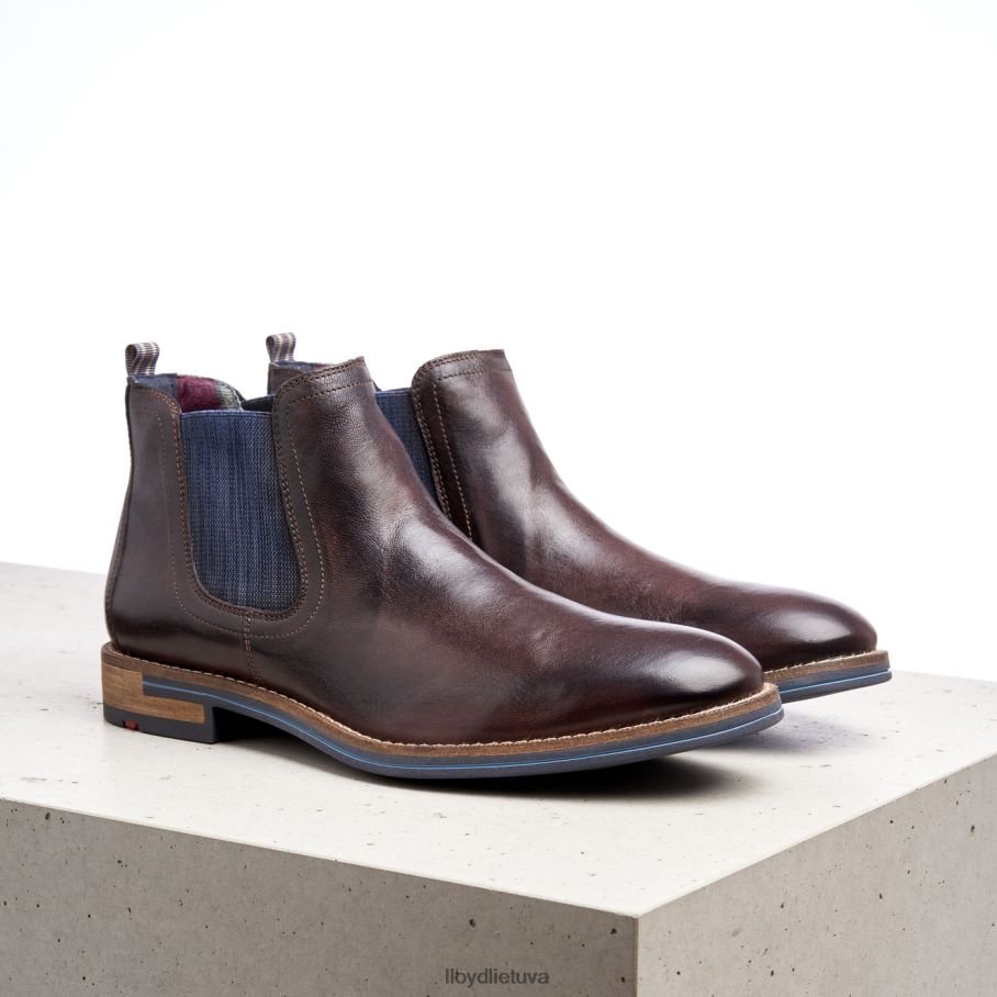 LLOYD dario vyrų avalynė rudas VF40PZ1342