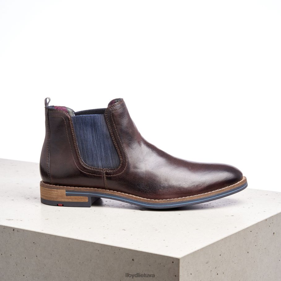 LLOYD dario vyrų avalynė rudas VF40PZ1342