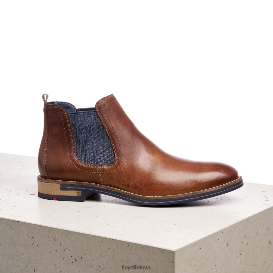 LLOYD dario vyrų avalynė rudas VF40PZ1343