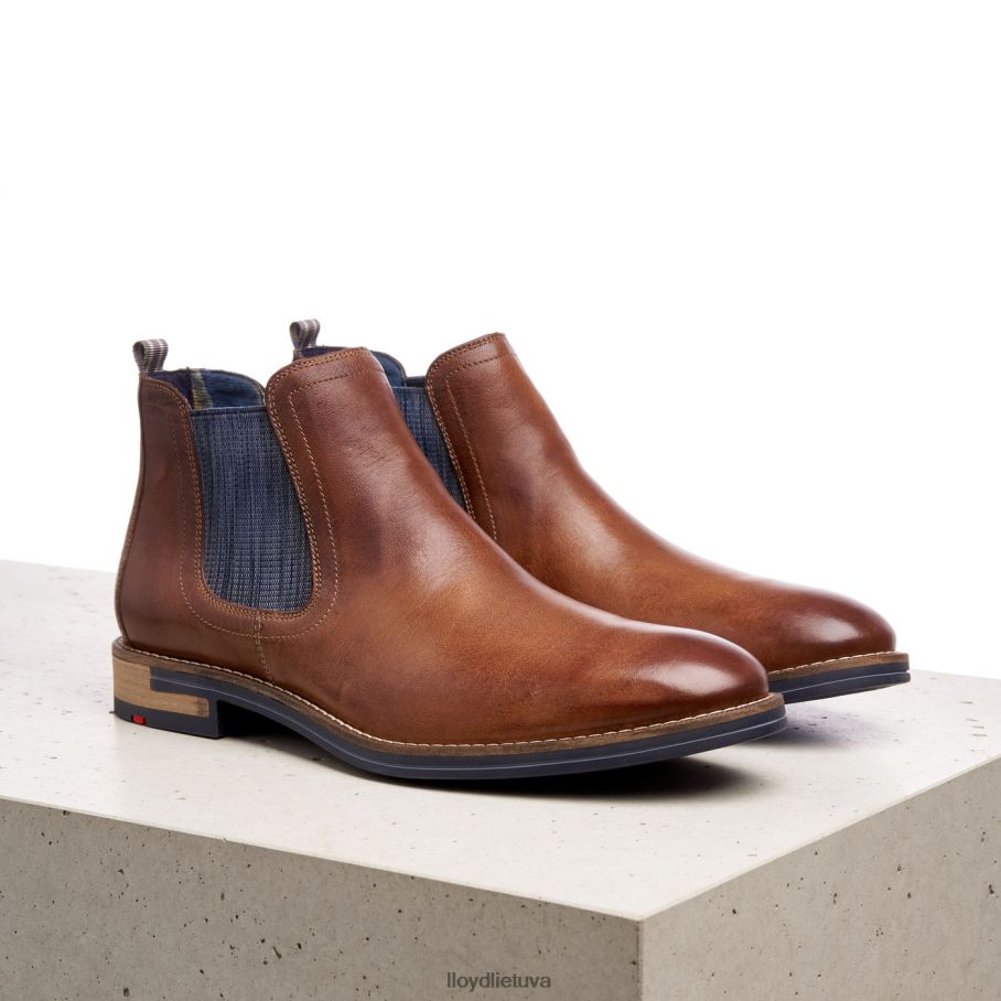 LLOYD dario vyrų avalynė rudas VF40PZ1343