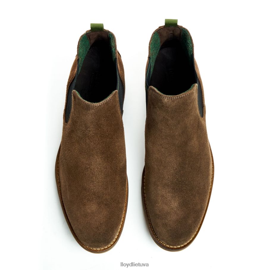 LLOYD darry vyrų avalynė rudas VF40PZ457