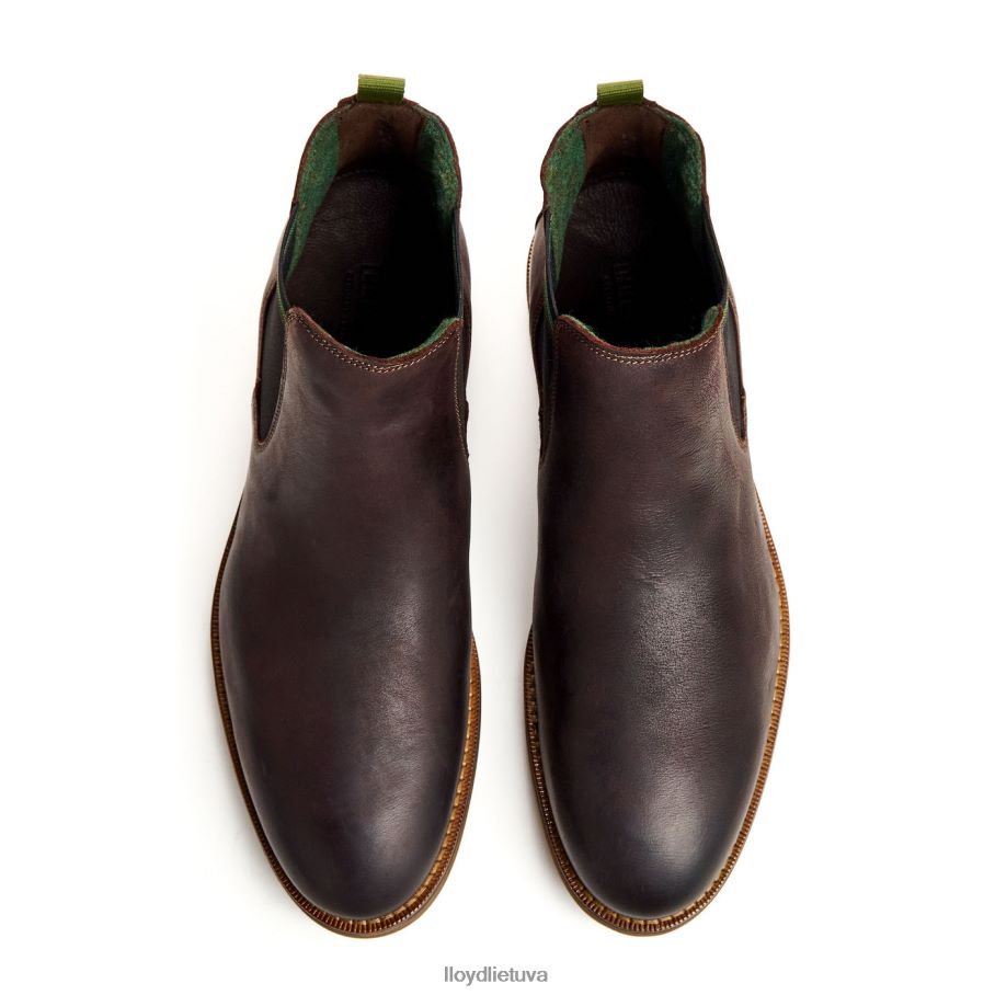 LLOYD darry vyrų avalynė rudas VF40PZ459