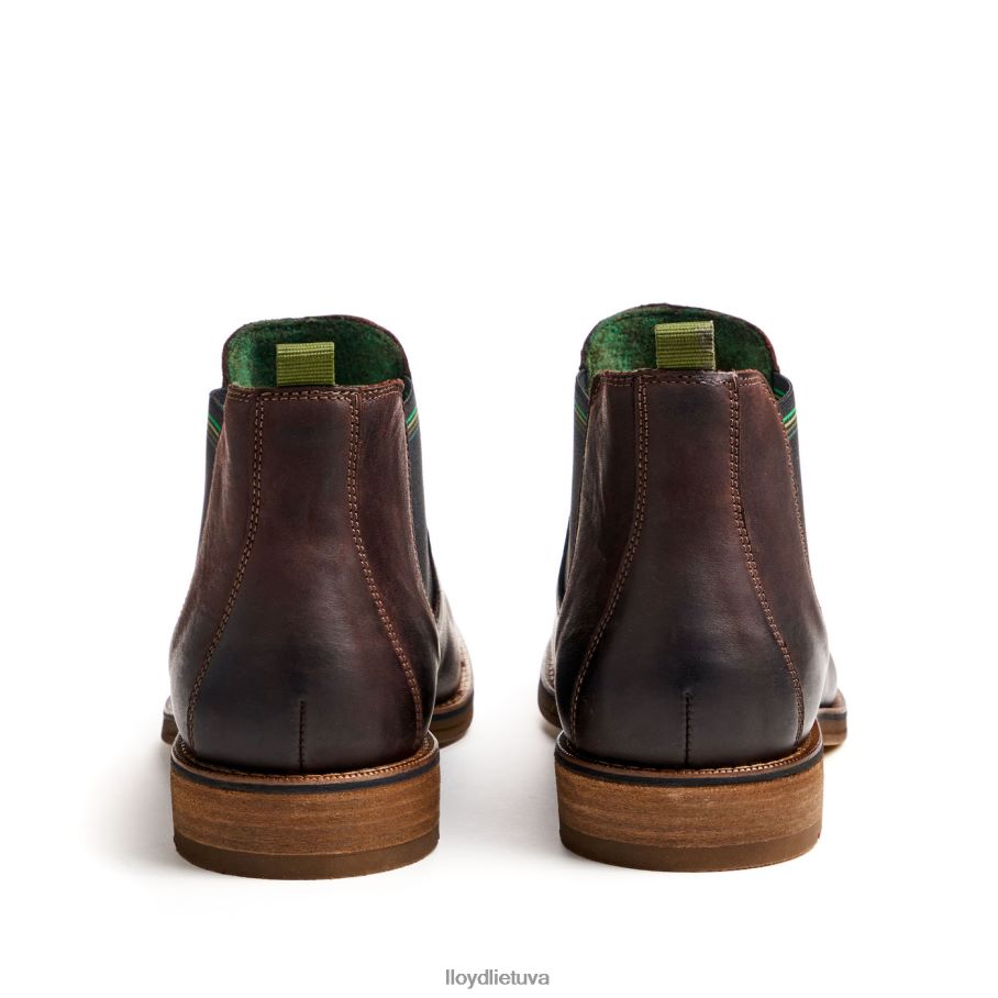 LLOYD darry vyrų avalynė rudas VF40PZ459