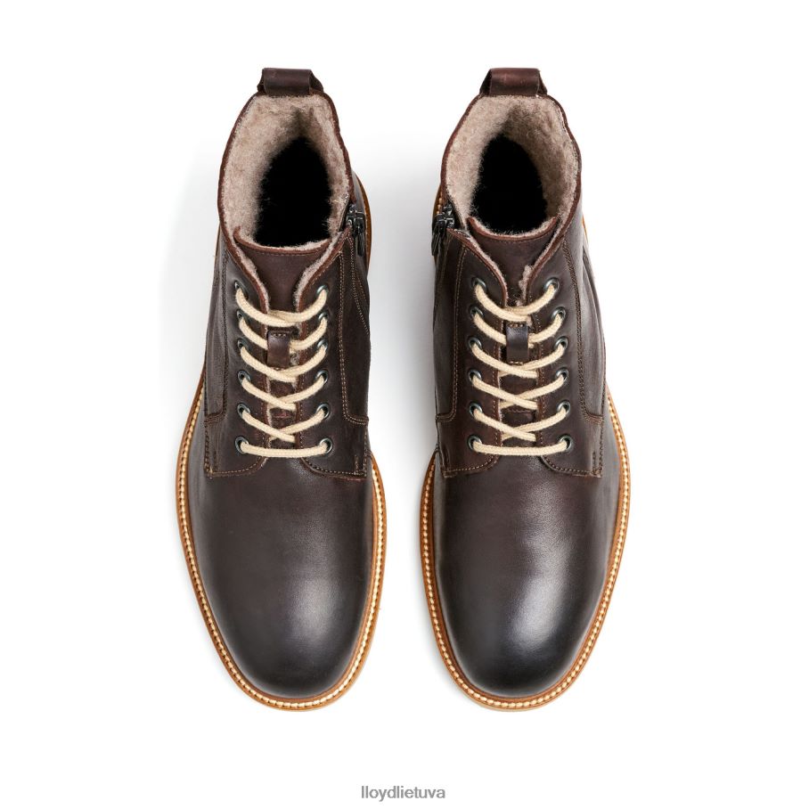 LLOYD darvinas vyrų avalynė rudas VF40PZ476