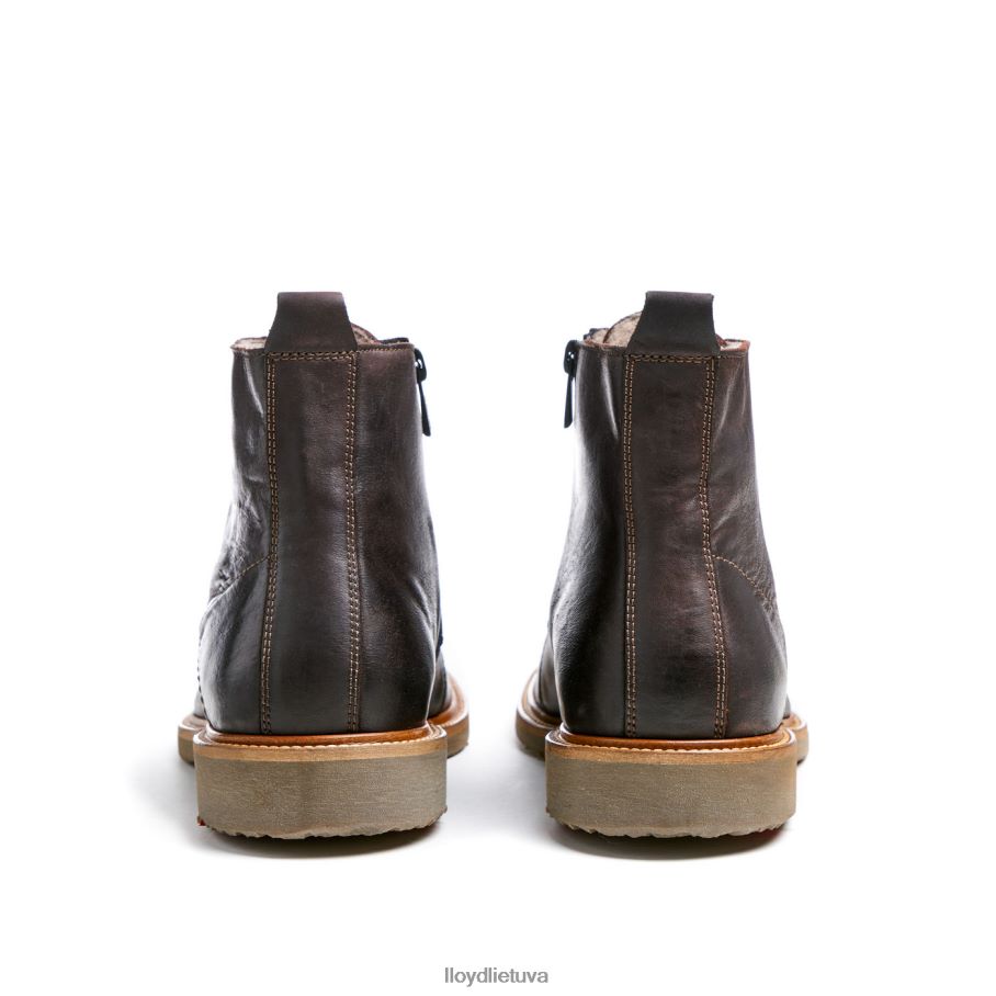 LLOYD darvinas vyrų avalynė rudas VF40PZ476