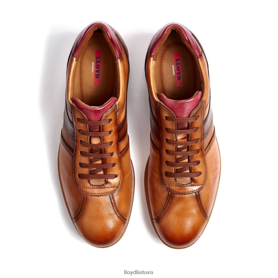 LLOYD davos vyrų avalynė rudas VF40PZ308