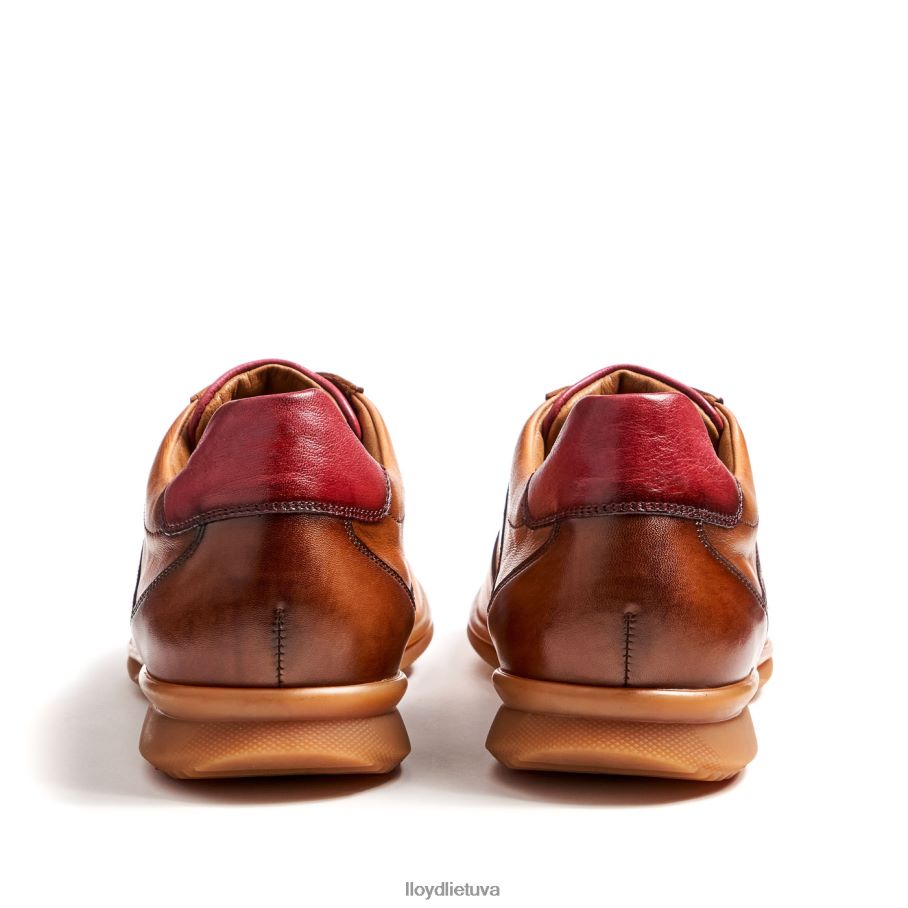 LLOYD davos vyrų avalynė rudas VF40PZ308