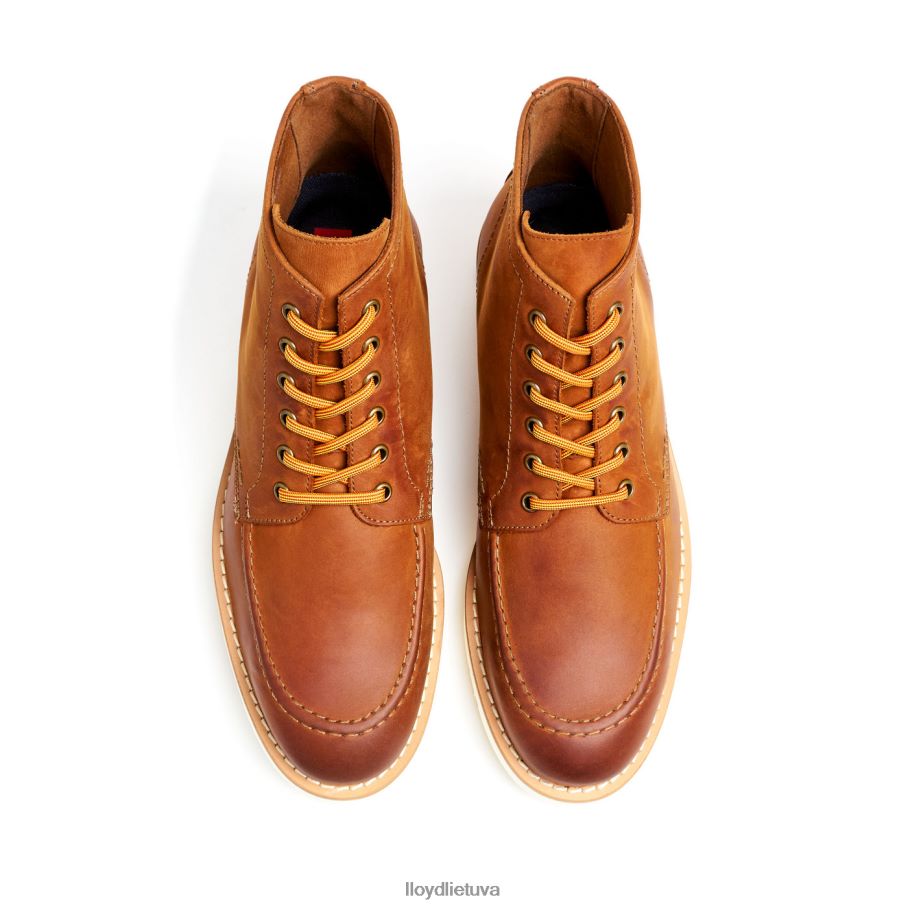 LLOYD debar vyrų avalynė rudas VF40PZ501