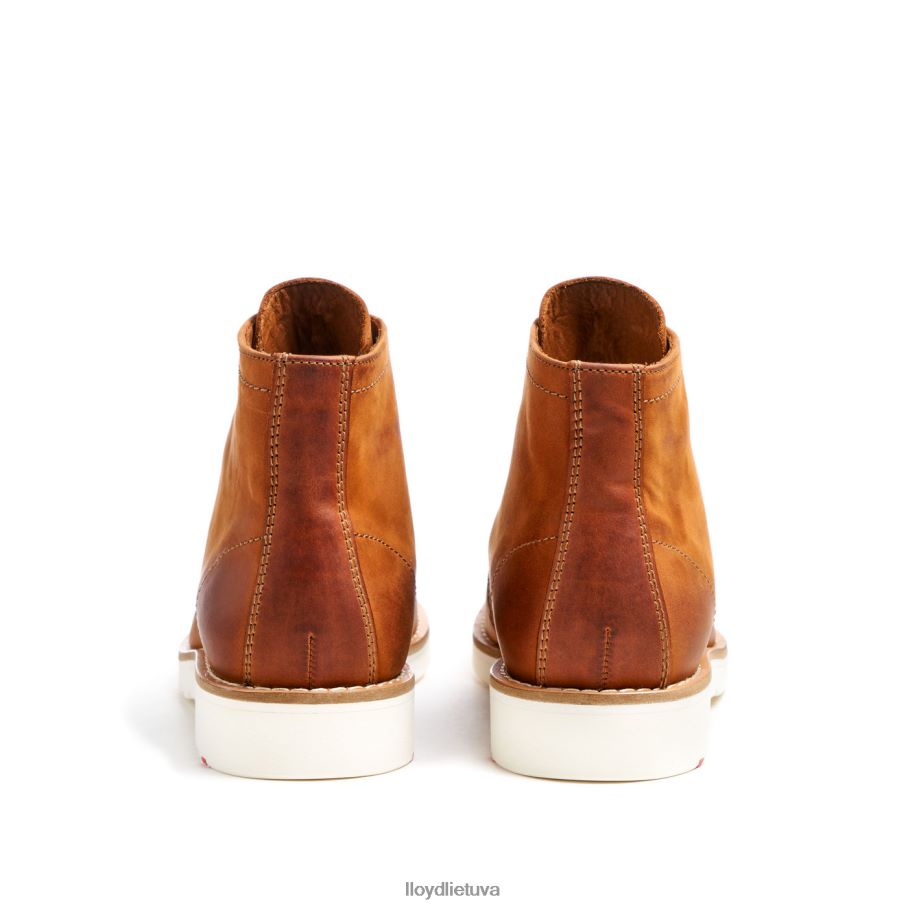 LLOYD debar vyrų avalynė rudas VF40PZ501