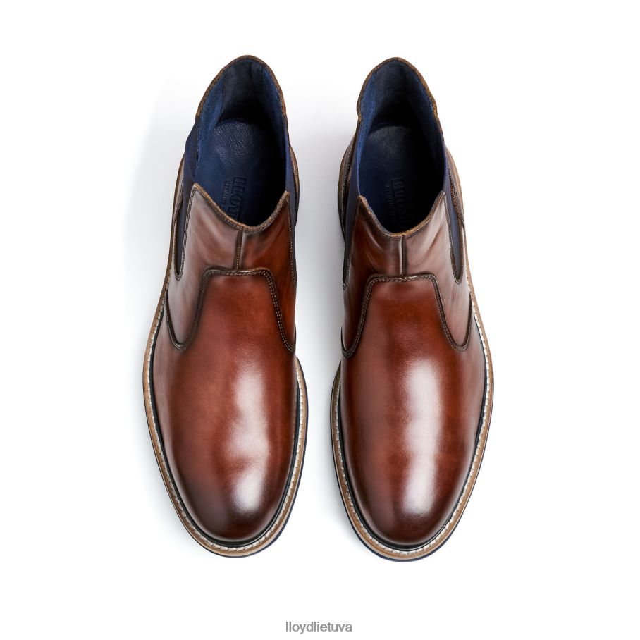 LLOYD deksteris vyrų avalynė rudas VF40PZ469