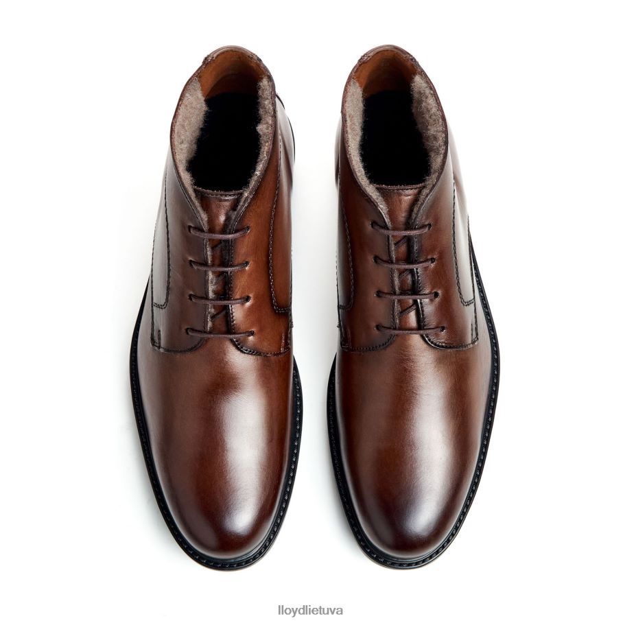 LLOYD delaveras vyrų avalynė rudas VF40PZ461